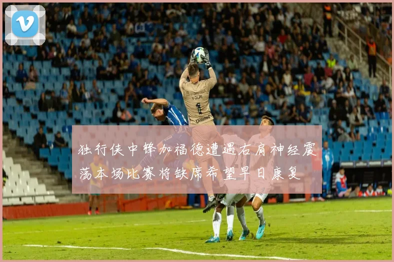 独行侠中锋加福德遭遇右肩神经震荡本场比赛将缺席希望早日康复