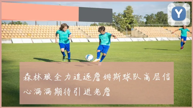 森林狼全力追逐詹姆斯球队高层信心满满期待引进老詹