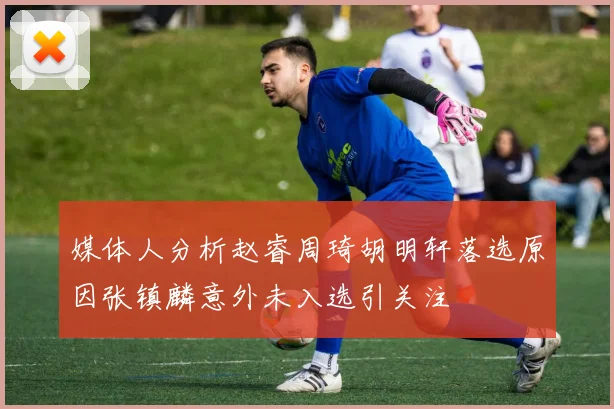 媒体人分析赵睿周琦胡明轩落选原因张镇麟意外未入选引关注